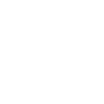 11 pfa orquesta solistas de america logo