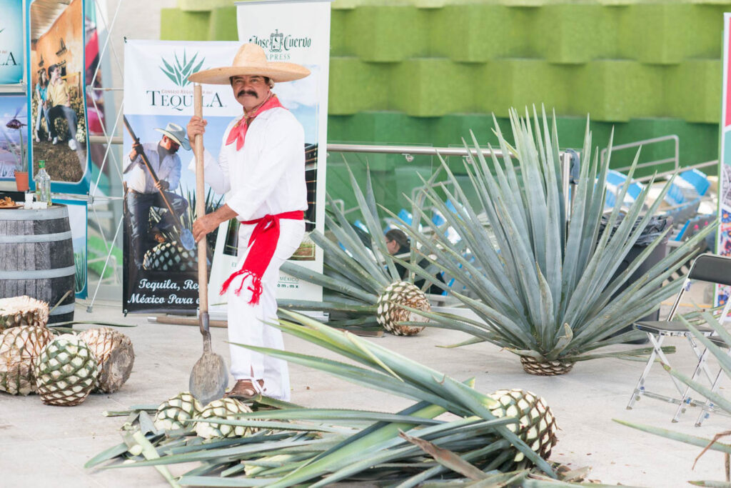 foro-agora_galeria (12)