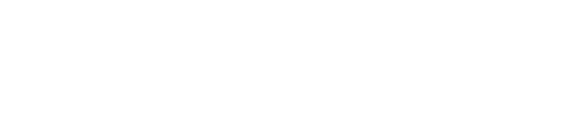 BOLETIA