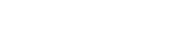 LOGO_VOLARIS